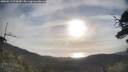 ./images/calvert/fitz-hugh-hecate/20250513/fitz-hugh-hecate20250513_074510M.jpg