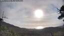 ./images/calvert/fitz-hugh-hecate/20250513/fitz-hugh-hecate20250513_075010M.jpg