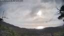 ./images/calvert/fitz-hugh-hecate/20250513/fitz-hugh-hecate20250513_075509M.jpg