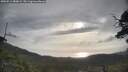 ./images/calvert/fitz-hugh-hecate/20250513/fitz-hugh-hecate20250513_080009M.jpg