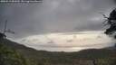 ./images/calvert/fitz-hugh-hecate/20250513/fitz-hugh-hecate20250513_081010M.jpg