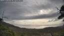 ./images/calvert/fitz-hugh-hecate/20250513/fitz-hugh-hecate20250513_081510M.jpg