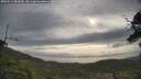./images/calvert/fitz-hugh-hecate/20250513/fitz-hugh-hecate20250513_082010M.jpg