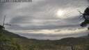 ./images/calvert/fitz-hugh-hecate/20250513/fitz-hugh-hecate20250513_083008M.jpg