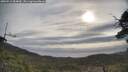 ./images/calvert/fitz-hugh-hecate/20250513/fitz-hugh-hecate20250513_084010M.jpg