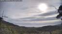 ./images/calvert/fitz-hugh-hecate/20250513/fitz-hugh-hecate20250513_084510M.jpg