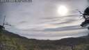 ./images/calvert/fitz-hugh-hecate/20250513/fitz-hugh-hecate20250513_085010M.jpg