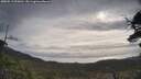 ./images/calvert/fitz-hugh-hecate/20250513/fitz-hugh-hecate20250513_090010M.jpg