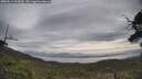 ./images/calvert/fitz-hugh-hecate/20250513/fitz-hugh-hecate20250513_094010M.jpg