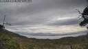 ./images/calvert/fitz-hugh-hecate/20250513/fitz-hugh-hecate20250513_094510M.jpg