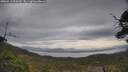 ./images/calvert/fitz-hugh-hecate/20250513/fitz-hugh-hecate20250513_095010M.jpg