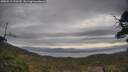 ./images/calvert/fitz-hugh-hecate/20250513/fitz-hugh-hecate20250513_100510M.jpg