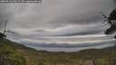 ./images/calvert/fitz-hugh-hecate/20250513/fitz-hugh-hecate20250513_102509M.jpg