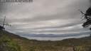 ./images/calvert/fitz-hugh-hecate/20250513/fitz-hugh-hecate20250513_103510M.jpg