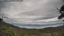 ./images/calvert/fitz-hugh-hecate/20250513/fitz-hugh-hecate20250513_104010M.jpg