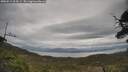 ./images/calvert/fitz-hugh-hecate/20250513/fitz-hugh-hecate20250513_104509M.jpg