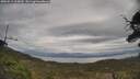 ./images/calvert/fitz-hugh-hecate/20250513/fitz-hugh-hecate20250513_105010M.jpg