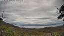 ./images/calvert/fitz-hugh-hecate/20250513/fitz-hugh-hecate20250513_105507M.jpg
