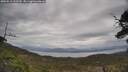 ./images/calvert/fitz-hugh-hecate/20250513/fitz-hugh-hecate20250513_110509M.jpg