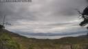 ./images/calvert/fitz-hugh-hecate/20250513/fitz-hugh-hecate20250513_111009M.jpg
