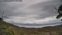 ./images/calvert/fitz-hugh-hecate/20250513/fitz-hugh-hecate20250513_111510M.jpg