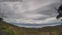 ./images/calvert/fitz-hugh-hecate/20250513/fitz-hugh-hecate20250513_112509M.jpg