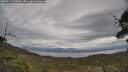 ./images/calvert/fitz-hugh-hecate/20250513/fitz-hugh-hecate20250513_113010M.jpg