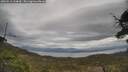 ./images/calvert/fitz-hugh-hecate/20250513/fitz-hugh-hecate20250513_114010M.jpg