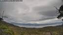 ./images/calvert/fitz-hugh-hecate/20250513/fitz-hugh-hecate20250513_114510M.jpg