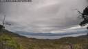 ./images/calvert/fitz-hugh-hecate/20250513/fitz-hugh-hecate20250513_115509M.jpg