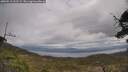 ./images/calvert/fitz-hugh-hecate/20250513/fitz-hugh-hecate20250513_121509M.jpg