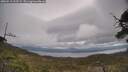 ./images/calvert/fitz-hugh-hecate/20250513/fitz-hugh-hecate20250513_123509M.jpg