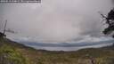 ./images/calvert/fitz-hugh-hecate/20250513/fitz-hugh-hecate20250513_124009M.jpg