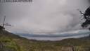 ./images/calvert/fitz-hugh-hecate/20250513/fitz-hugh-hecate20250513_124508M.jpg