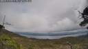 ./images/calvert/fitz-hugh-hecate/20250513/fitz-hugh-hecate20250513_125509M.jpg