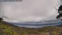 ./images/calvert/fitz-hugh-hecate/20250513/fitz-hugh-hecate20250513_130508M.jpg