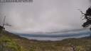 ./images/calvert/fitz-hugh-hecate/20250513/fitz-hugh-hecate20250513_131508M.jpg