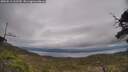 ./images/calvert/fitz-hugh-hecate/20250513/fitz-hugh-hecate20250513_132510M.jpg