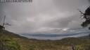 ./images/calvert/fitz-hugh-hecate/20250513/fitz-hugh-hecate20250513_133509M.jpg