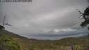 ./images/calvert/fitz-hugh-hecate/20250513/fitz-hugh-hecate20250513_134008M.jpg