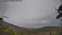 ./images/calvert/fitz-hugh-hecate/20250513/fitz-hugh-hecate20250513_134510M.jpg