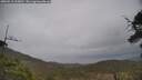 ./images/calvert/fitz-hugh-hecate/20250513/fitz-hugh-hecate20250513_135010M.jpg