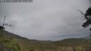 ./images/calvert/fitz-hugh-hecate/20250513/fitz-hugh-hecate20250513_135509M.jpg