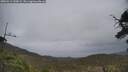 ./images/calvert/fitz-hugh-hecate/20250513/fitz-hugh-hecate20250513_140008M.jpg