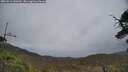 ./images/calvert/fitz-hugh-hecate/20250513/fitz-hugh-hecate20250513_140510M.jpg