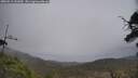 ./images/calvert/fitz-hugh-hecate/20250513/fitz-hugh-hecate20250513_141010M.jpg