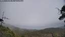 ./images/calvert/fitz-hugh-hecate/20250513/fitz-hugh-hecate20250513_141509M.jpg