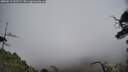 ./images/calvert/fitz-hugh-hecate/20250513/fitz-hugh-hecate20250513_143508M.jpg