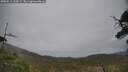 ./images/calvert/fitz-hugh-hecate/20250513/fitz-hugh-hecate20250513_145008M.jpg