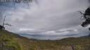 ./images/calvert/fitz-hugh-hecate/20250513/fitz-hugh-hecate20250513_150509M.jpg
